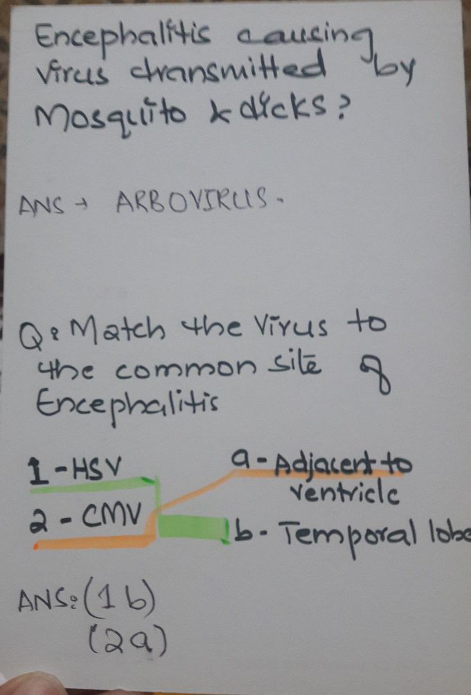 Encephalitis