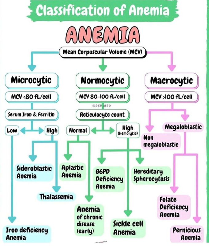 Classification Of Anemia Medizzy 