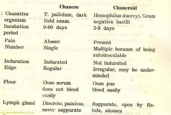 Chancre and chancroid