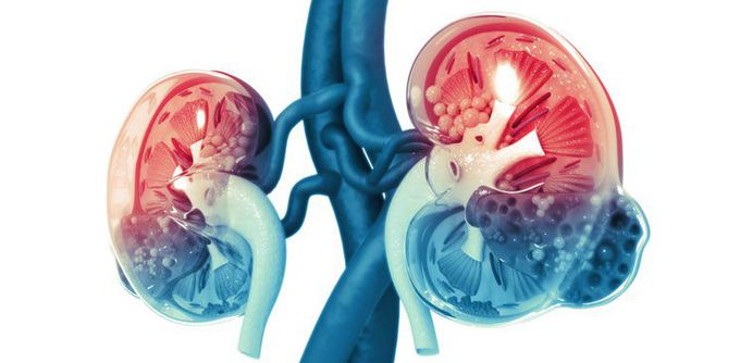 Iatrogenic Acute Kidney Injury and Decisions Taken in ED