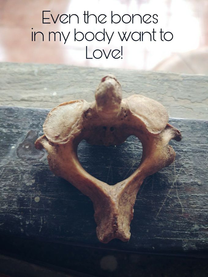Heart shaped C2 Vertebra