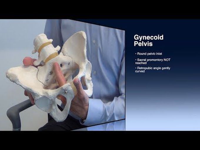 Performing Pelvimetry