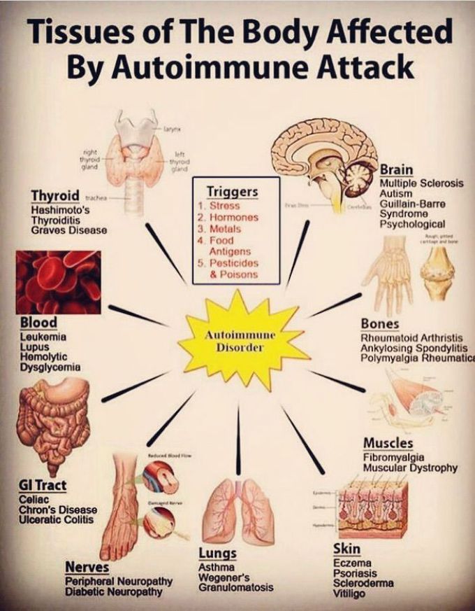 Tissues of The Body Affected by Autoimmune Attack