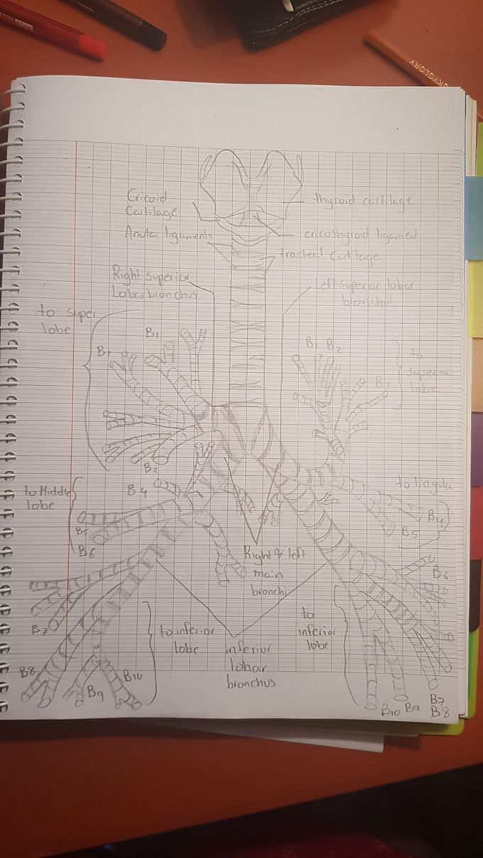 JUST DRAW IT.👨‍⚕️