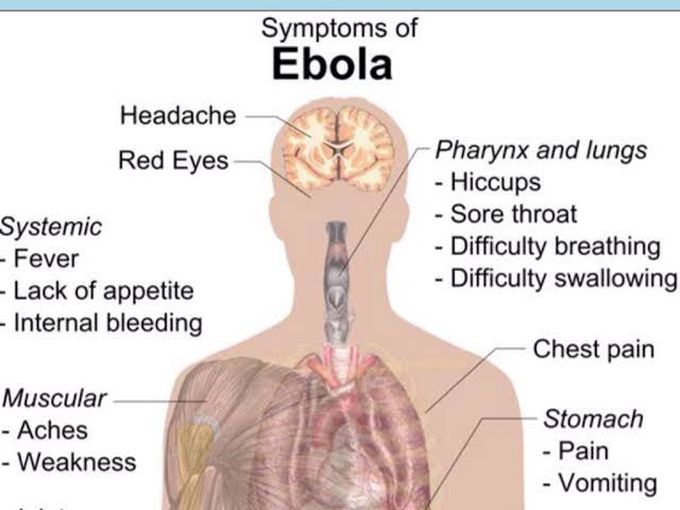 Symptoms of ebola