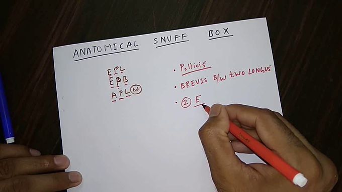 Anatomical snuff Box and it's clinical