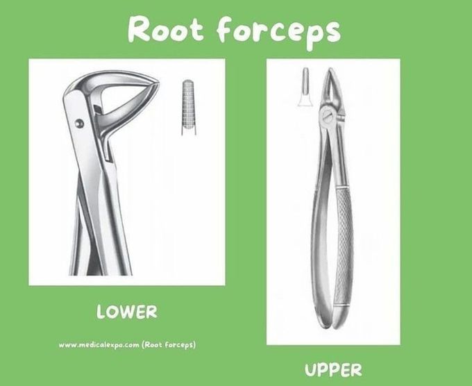 Upper Vs Lower Forceps
