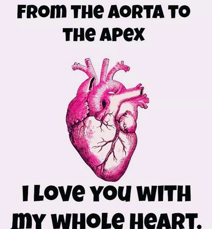 💖💖💖💖