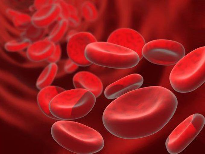 PCV VS Hematocrit