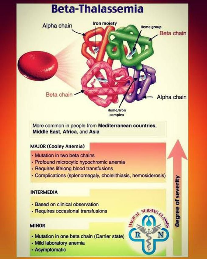 Beta Thalassemia