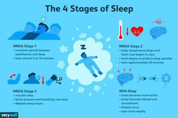 Stages of sleep.