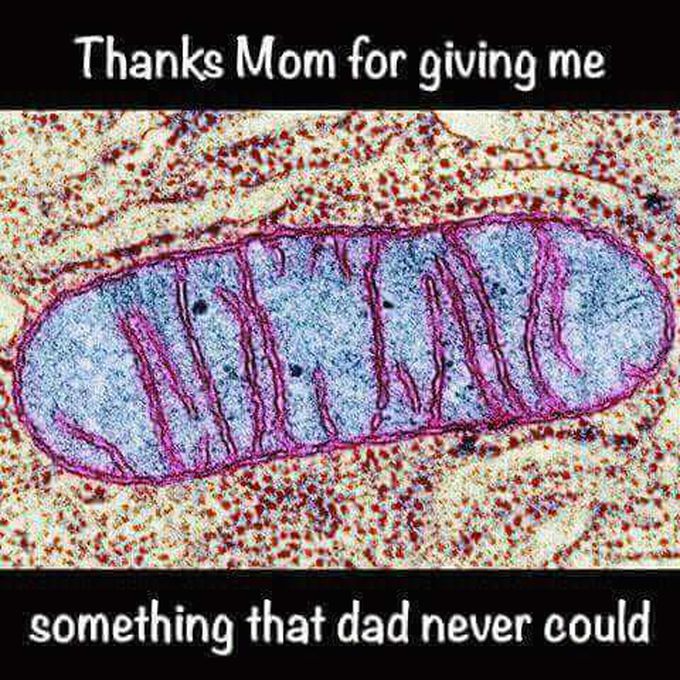 🙄😯