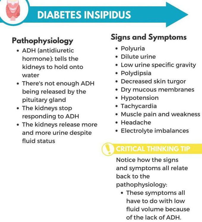 Diabetes Insipidus