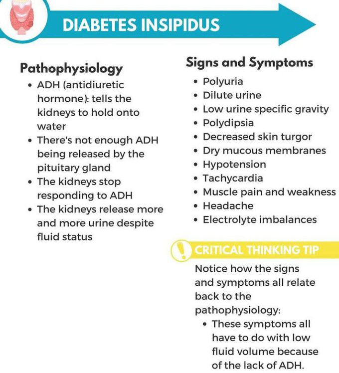 Diabetes Insipidus