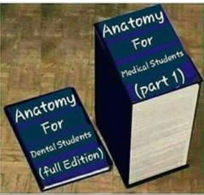 Types of study levels