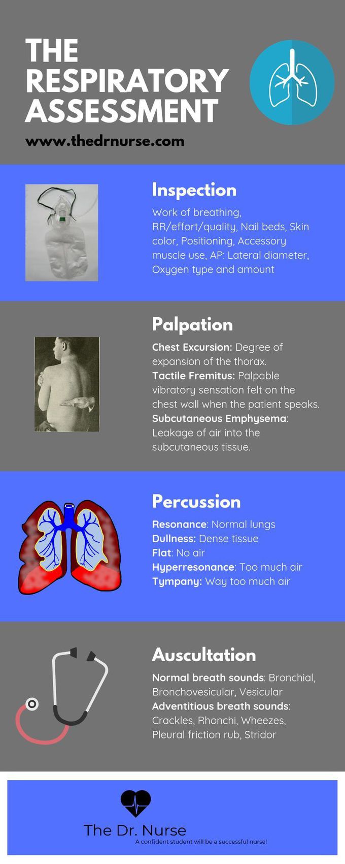 The respiratory assessment