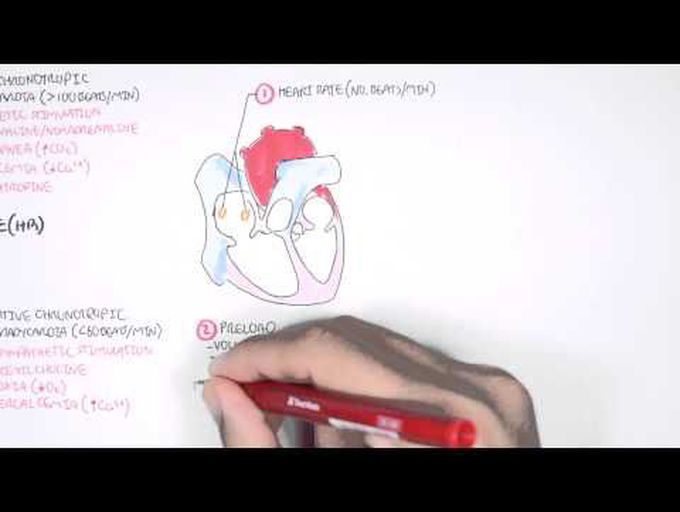 Cardiology - Cardiac Output