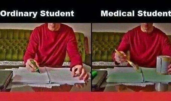 Study