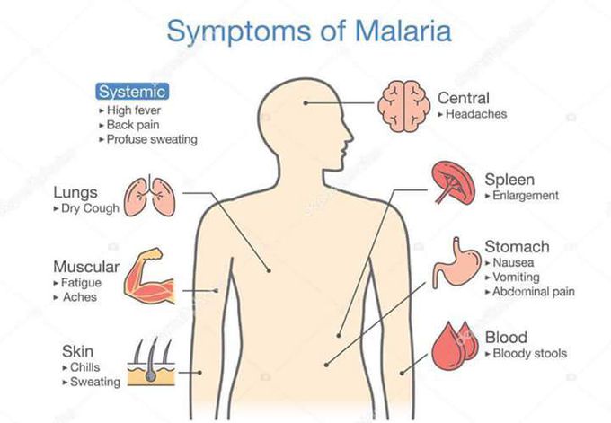 Malaria