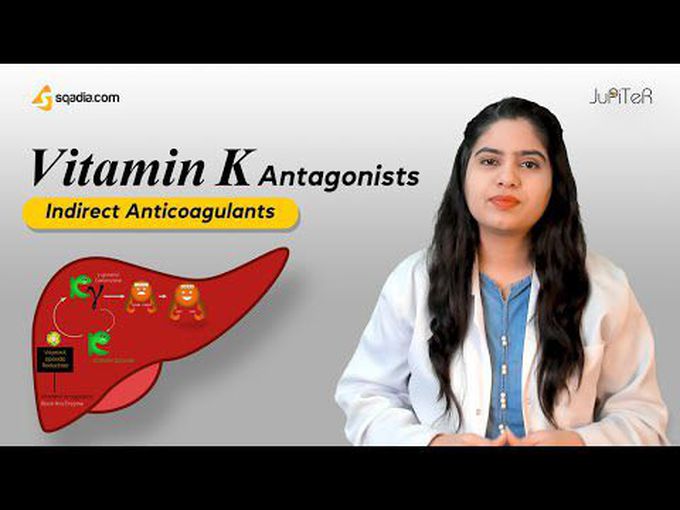 Pharmacology of Vitamin K Antagonist