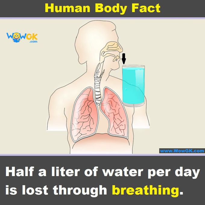 Fact