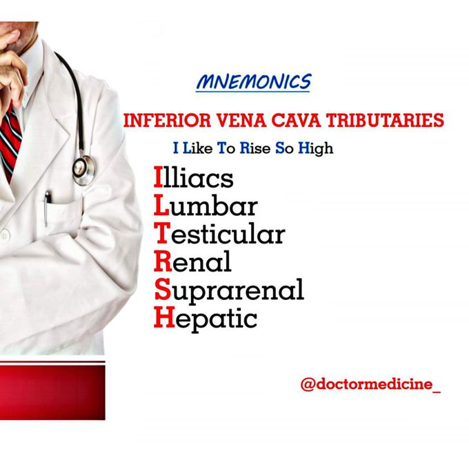 Anatomy mnemonics