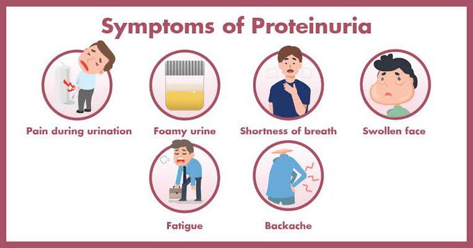 Proteinuria