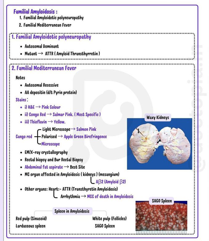 Familial Amyloidosis