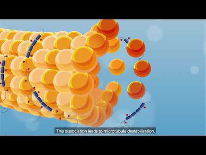 Progressive Supranuclear Palsy (PSP)