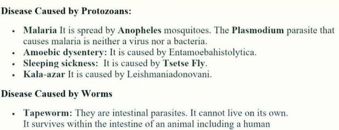 some diseases caused by protozoas and worms