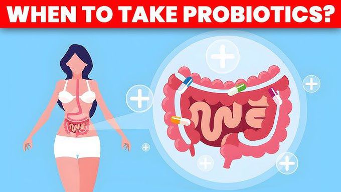 Best Probiotics for Women Over 50: A Critical Discussion