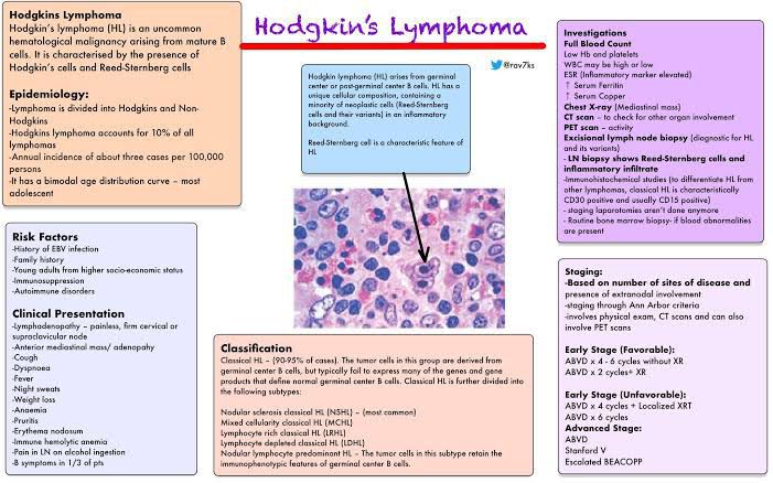 Hodgkin's Lymphoma - MEDizzy