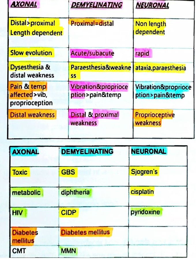 Polyneuropathy