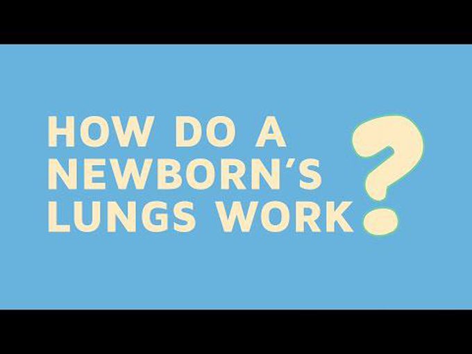 The working of Newborn's Lungs and developmental anomalies