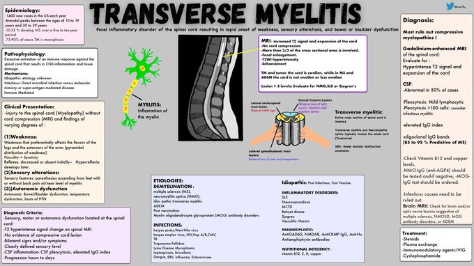 Causes Of Transverse Myelitis Medizzy 5046