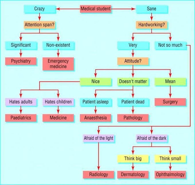 What is your choice?