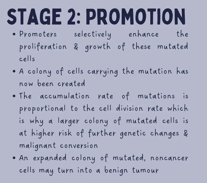 Tumor Progression Stage 2