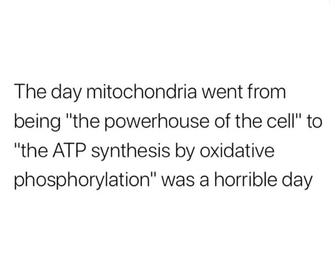 Mitochondria