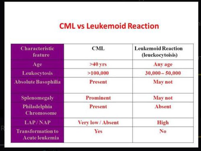 CML vs Leukemoid Reaction