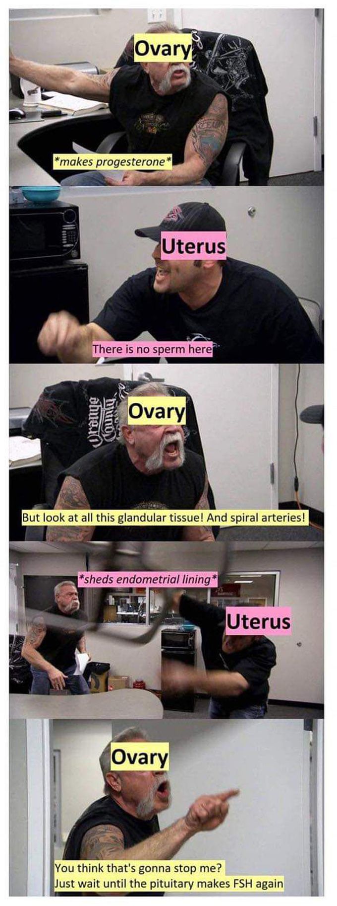 The every month story