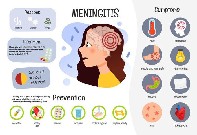 Cause Of Meningococcal Disease - Medizzy