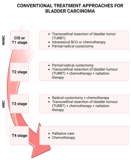 Treatment Approaches For Bladder Carcinoma - MEDizzy