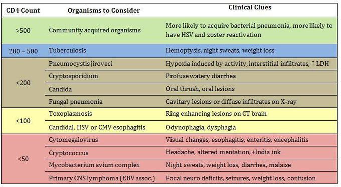 HIV associated infection