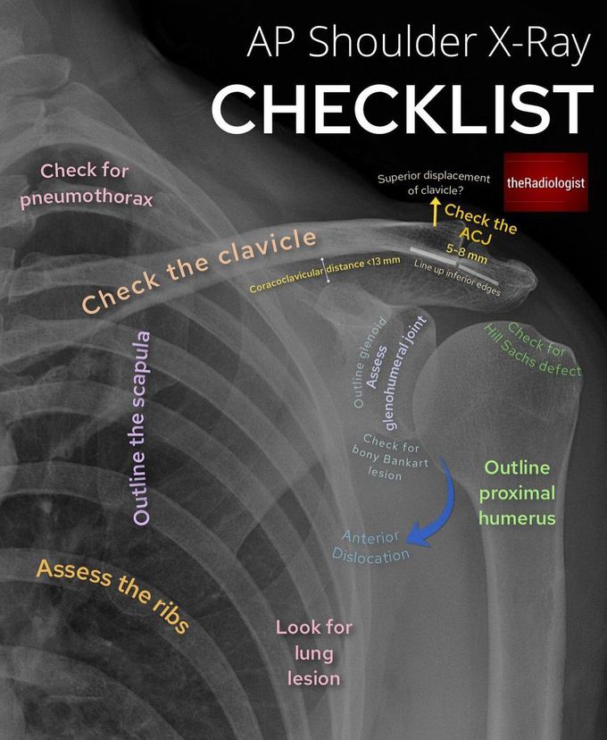 Shoulder Anatomy