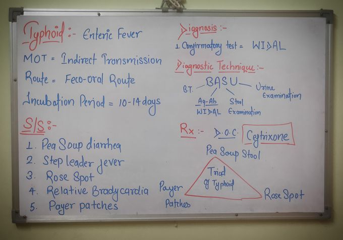 Overview of typhoid