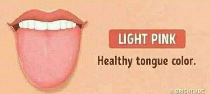 healthy tongue side