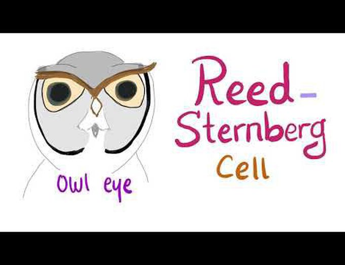 Reed-Sternberg Cell