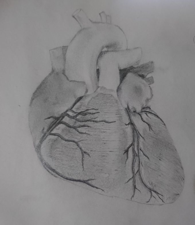 Medico art