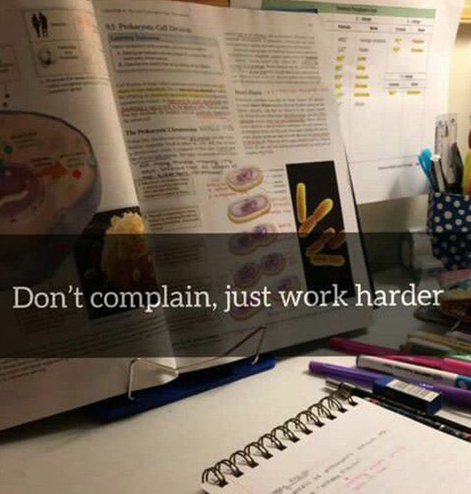 Motivation