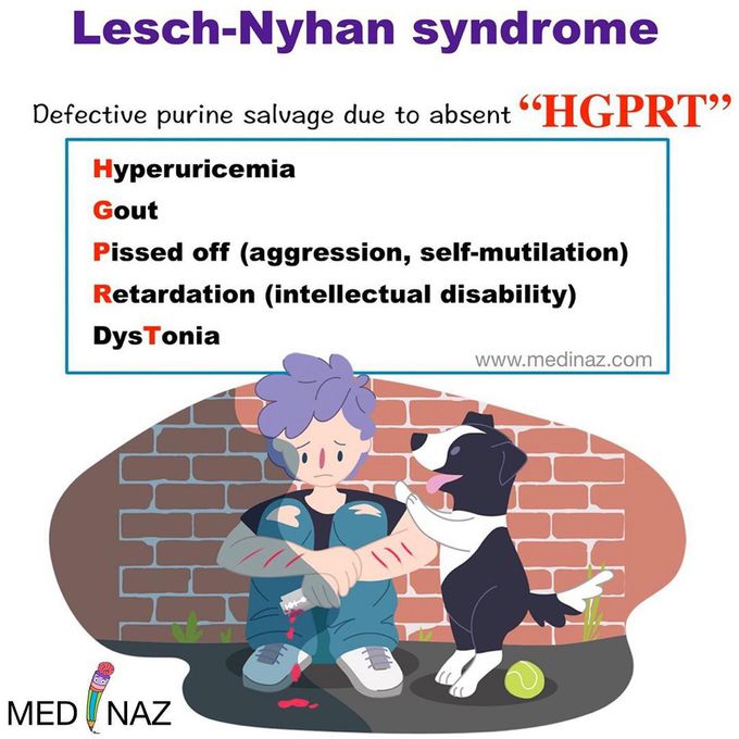 Lesch-Nyhan Syndrome